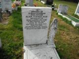 image of grave number 263991